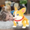 Kutya, interaktív robot, Corgi, világító fülek, zene