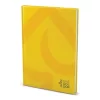 Registru liniat LIPAMILL A/4 192 file Office copertă tare