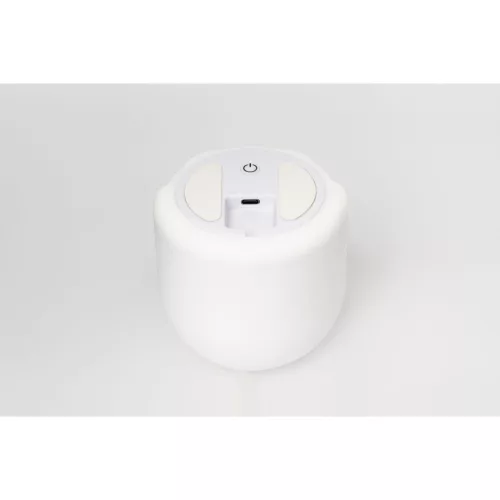Asalite LED Éjjeli Lámpa Pingvin 1W