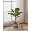 EGLO Living, 428021, YUBETSU, Művirág, Zöld, Fekete