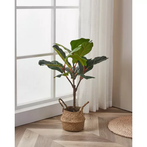 EGLO Living, 428021, YUBETSU, Művirág, Zöld, Fekete
