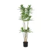 EGLO Living, 428023, YUBETSU, Művirág, Zöld, Fekete