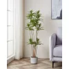 EGLO Living, 428023, YUBETSU, Művirág, Zöld, Fekete