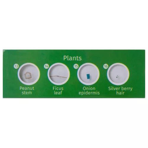 Levenhuk LabZZ P12 plante – pregătit lamă-Set