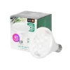 Növénytermesztő LED izzó LED PLANTYW E27 9W E27 1200K Fehér Kobi Design, meleg fehér, 300lm, KOBI-001504