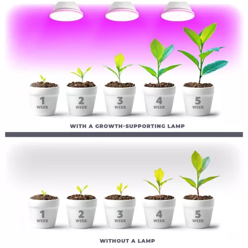 Növénytermesztő LED izzó LED PLANTYW E27 9W E27 1200K Fehér Kobi Design, meleg fehér, 300lm, KOBI-001504