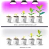 Növénytermesztő LED izzó LED PLANTY B E27 9W E27 1200K Fekete Kobi Desing, meleg fehér, 300lm, KOBI-001505
