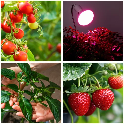 LED növénynevelő lámpa LED KOBI PLANTY CLIP W 1xE27 fehér Kobi Design, KOBI-001506