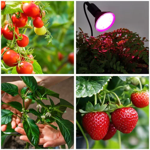 LED növénynevelő lámpa LED PLANTY CLIP B 1xE27 fekete Kobi Design, KOBI-001507