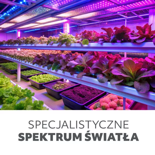 LED növénynevelő lámpa LED PLANTY E27 24W Kobi Design, 840lm, KOBI-001508