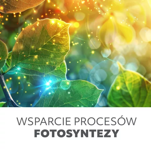 LED növénynevelő lámpa LED PLANTY E27 24W Kobi Design, 840lm, KOBI-001508