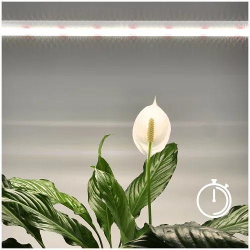 LED növénytermesztő lámpa LED GROWLY 15W – Kobi Design, 1700lm, KOBI-001510