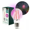 pentru cultivarea plantelor LED bec LED PLANTY FGS 8W E27 1200K – Kobi Design, alb cald, 250lm, KOBI-001512