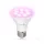 Növénytermesztő LED izzó LED PLANTY B E27 7W E27 1200K fehér Kobi Design, meleg fehér, 185lm, ≥12, KOBI-004012