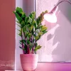 Növénytermesztő LED izzó LED PLANTY B E27 7W E27 1200K fehér Kobi Design, meleg fehér, 185lm, ≥12, KOBI-004012
