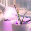 Növénytermesztő LED izzó LED PLANTY B E27 7W E27 1200K fehér Kobi Design, meleg fehér, 185lm, ≥12, KOBI-004012