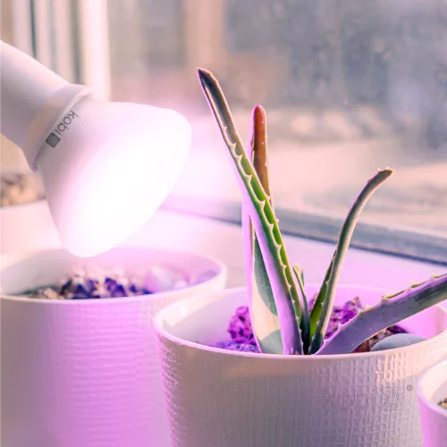 Növénytermesztő LED izzó LED PLANTY B E27 7W E27 1200K fehér Kobi Design, meleg fehér, 185lm, ≥12, KOBI-004012
