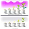 Növénytermesztő LED izzó LED PLANTY B E27 7W E27 1200K fehér Kobi Design, meleg fehér, 185lm, ≥12, KOBI-004012