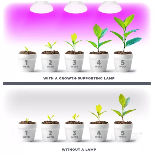 Növénytermesztő LED izzó LED PLANTY B E27 7W E27 1200K fehér Kobi Design, meleg fehér, 185lm, ≥12, KOBI-004012