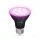 Növénytermesztő LED izzó LED PLANTY B E27 7W E27 1200K fekete Kobi Design, meleg fehér, 150lm, ≥12, KOBI-004013