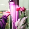 Növénytermesztő LED izzó LED PLANTY B E27 7W E27 1200K fekete Kobi Design, meleg fehér, 150lm, ≥12, KOBI-004013
