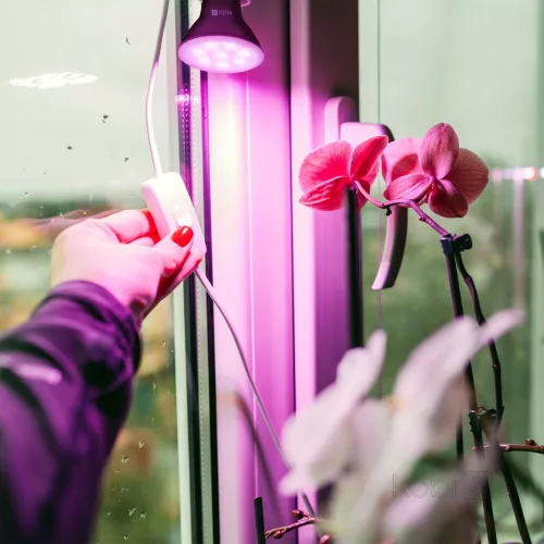 Növénytermesztő LED izzó LED PLANTY B E27 7W E27 1200K fekete Kobi Design, meleg fehér, 150lm, ≥12, KOBI-004013