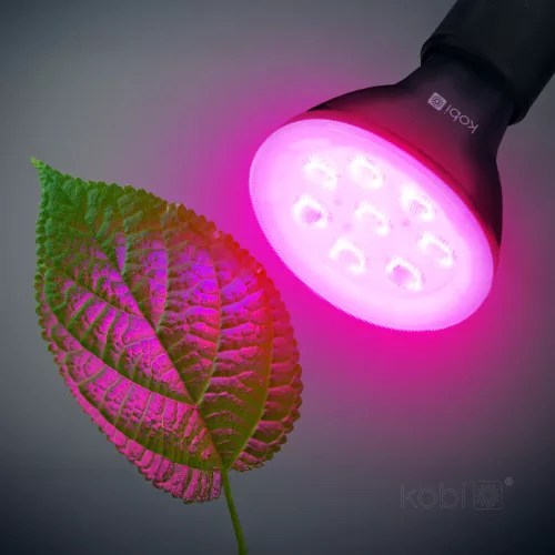 Növénytermesztő LED izzó LED PLANTY B E27 7W E27 1200K fekete Kobi Design, meleg fehér, 150lm, ≥12, KOBI-004013