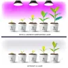 Növénytermesztő LED izzó LED PLANTY B E27 7W E27 1200K fekete Kobi Design, meleg fehér, 150lm, ≥12, KOBI-004013