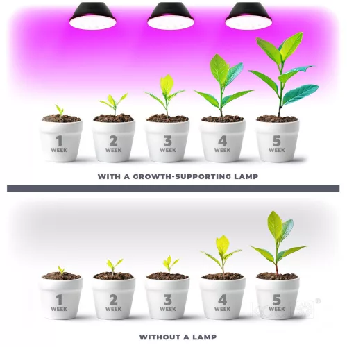 Növénytermesztő LED izzó LED PLANTY B E27 7W E27 1200K fekete Kobi Design, meleg fehér, 150lm, ≥12, KOBI-004013