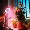 LED növénynevelő lámpa VITARO RING 2 csiptetős 8W – Kobi Design, 1200K, meleg fehér, 180lm, KOBI-004015