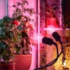 LED növénynevelő lámpa LED PLANTY CLIP W DUO 1xE27 fekete Kobi Design, KOBI-004018