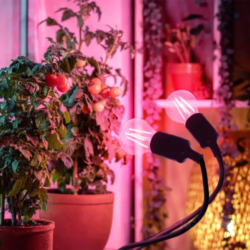 LED növénynevelő lámpa LED PLANTY CLIP W DUO 1xE27 fekete Kobi Design, KOBI-004018