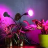 LED növénynevelő lámpa LED PLANTY CLIP W DUO 1xE27 fekete Kobi Design, KOBI-004018
