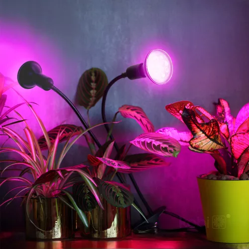 LED növénynevelő lámpa LED PLANTY CLIP W DUO 1xE27 fekete Kobi Design, KOBI-004018