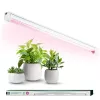 LED pentru cultivarea plantelor corp de iluminat LED GROWLY 9W – Kobi Design, KOBI-004019