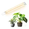 LED pentru creșterea plantelor lampă LED GROWLY 2× – Kobi Design, 17W, KOBI-004021