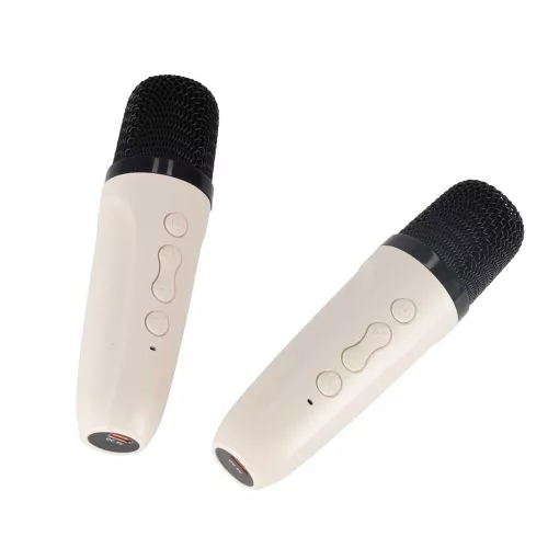 Karaoke szett Bluetooth hangszóró RGB LED 2 USB mikrofonnal