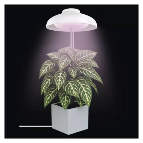LED növénynevelő lámpa, teljes spektrum, 15 LED, beltéri, időzítővel, 3500K, 235, 5V DC, CRI> 85, fehér, Nap fehér/piros, IP20, EMOS, Z7901