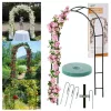 de grădină pergola metal articol pentru trandafiri, articol pentru flori 240 cm verde