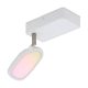 EGLO , 97691 , PALOMBARE-C , spot lámpa , 2700 K  6500 K , LED , 1X5W , Dimmelhető , IP20 , fehér