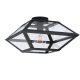 EGLO , 98356 , CASEFABRE , mennyezeti lámpa , E27 , 1X60W , IP20 , átlátszó
