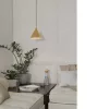 EGLO, 99591, NARICES, lampă suspendată, E27, 1X40W, IP20, periat alamă, auriu