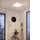 EGLO , 99472 , PIGLIONASSO , mennyezeti lámpa , 4000 K , LED , 32W , IP20 , barna