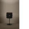 EGLO, 390035, PARAGUAIO, lampă de masă, E27, 1X40W, IP20, negru