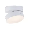LED lámpatest , spot , billenthető , 8W , CCT , dimmelhető , fehér , LUTEC CONNECT , STANOS