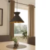 EGLO , 900347 , NASTASIA , függeszték , E27 , 1X40W , IP20 , cappuccino, réz