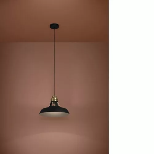 EGLO, 390229, ESPINARDO, lampă suspendată, E27, 1X40W, IP20