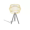 EGLO, 390235, MONTERROSO, lampă de masă, E27, 1X40W, IP20, natural, alb