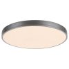 Rábalux , 3317 , Tesia , Mennyezeti lámpa , ezüst , IP20 , 3000-6000K , 60W