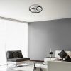 Rábalux , 3335 , Aquila , Mennyezeti lámpa , fekete , IP20 , 3000-6000K , 50W